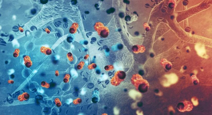 Bilim İnsanları Açıkladı: Bu Alışkanlıklar Kanser Riskini Artırıyor!