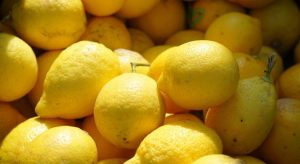 Ticaret Bakanlığı açıkladı: Limon İhracatı Geçici Olarak Durdurulacak