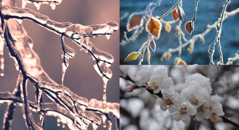 Zirai Dondan Korunmak İçin Neler Yapılmalıdır?