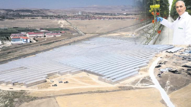 Afyonkarahisar’da Modern Seracılıkta Yeni Bir Dönem