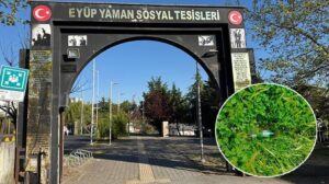 Alaplı’da Çocuk Parkında Güvenlik Endişeleri ve Olayın Detayları