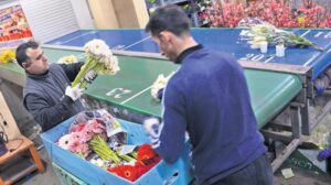 Anneler Günü Çiçek Hazırlıkları ve Piyasa Durumu