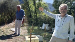 Antalya İbradı’da Arıcıların Ayılarla Mücadele Yöntemleri ve Zorluklar