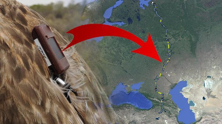 Aras Kuş Araştırma ve Göç Güzergâhı Üzerindeki Çalışmalar