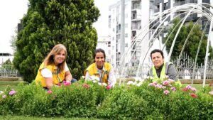 Aydın Büyükşehir Belediyesi’nin Bahar Çiçekleriyle Dolu Çalışmaları