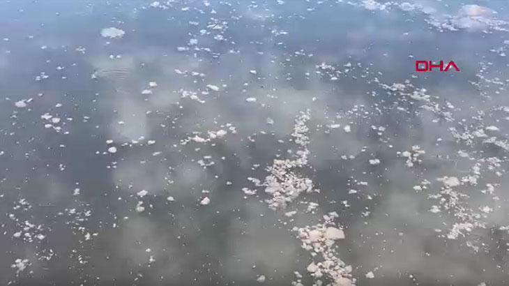 Dereağzı Mevkisinde Yaşanan Kirlilik Olayı ve Çevresel Etkiler