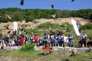 Doğa Koruma ve Milli Parklar Genel Müdürlüğü’nden Biyolojik Mücadele İçin 800 Sülün Salgını