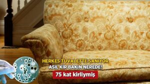 Evinizdeki En Kirli Nokta: Kanepe ve Diğer Yüzeyler Hakkında Bilmeniz Gerekenler