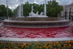 Greenpeace İsrail’e Silah Satışını Protesto Eylemi Düzenledi