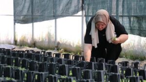 Hayallerini Gerçeğe Dönüştüren Emekli Kadının İlham Verici Hikayesi