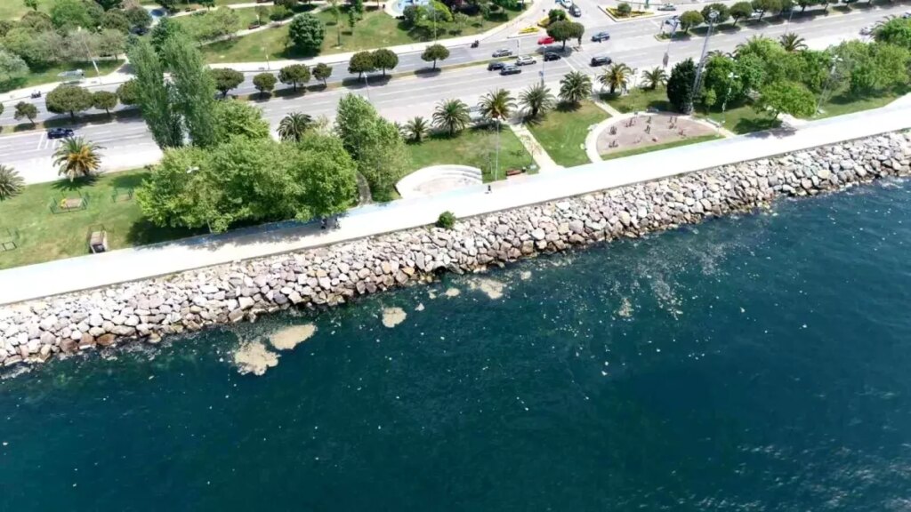 İstanbul Anadolu Yakası’nda Müsilaj Sorunu ve Çevresel Etkiler