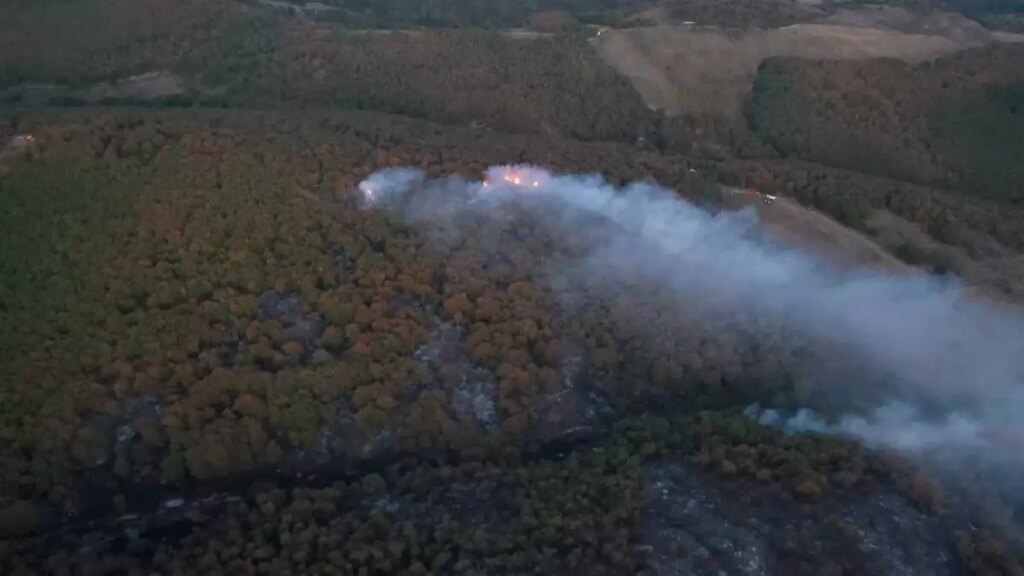Kocaeli Valiliği’nden Orman Yangınıyla Mücadele ve Giriş Yasakları Hakkında Duyuru