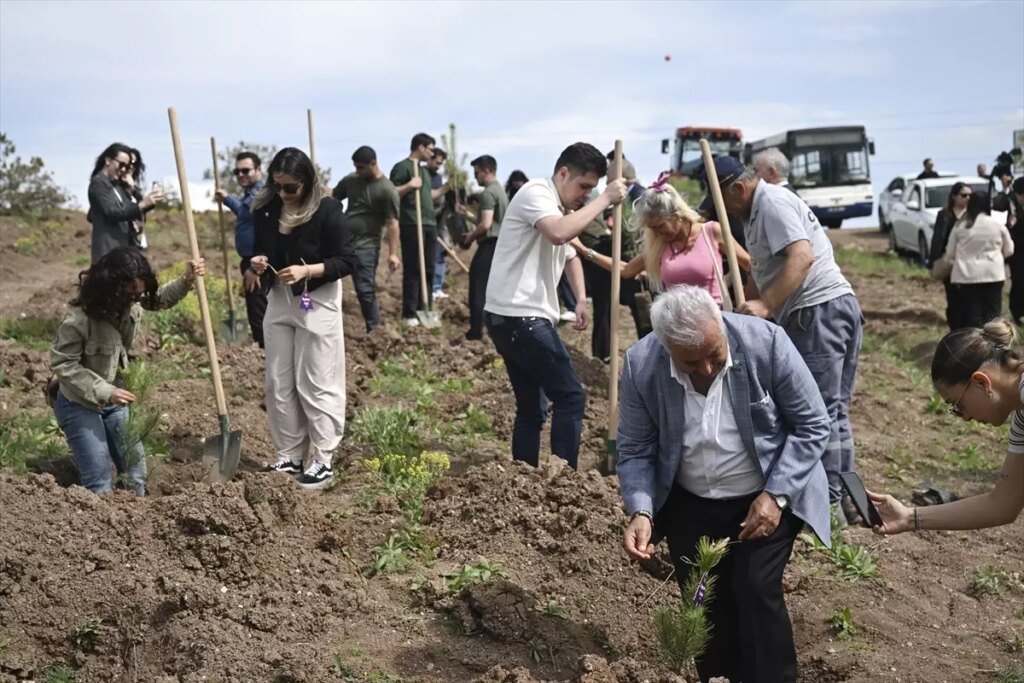 Mülkiyeliler Birliği’nden Kadınlara Saygı ve Farkındalık Etkinliği