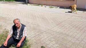 Salda Köyünde Sokak Köpekleri Saldırısı Sonrası Yaşananlar