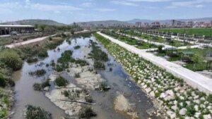 Sincan Belediyesi Ova Çayı Islah Çalışmalarıyla Daha Yeşil ve Yaşanabilir Bir İlçe Hedefliyor