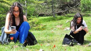 Spil Dağı’nda Manisa Lalesi Coşkusu ve Koruma Çalışmaları