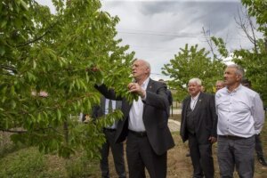 TZOB Genel Başkanı Şemsi Bayraktar Bolu’da Çiftçilerle Buluştu ve Zirai Dondan Etkilenen Kiraz Bahçesinde İncelemelerde Bulundu