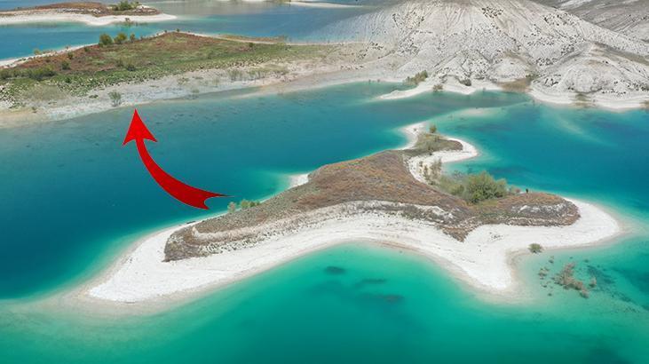 Adıyaman’daki Martı Adası’nda Yuva Sezonu Coşkusu