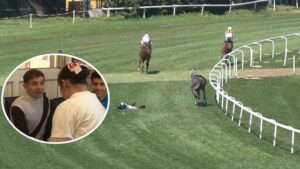 Atla Terapi Merkezi’nde Yaşanan Kaza ve Engelliler Haftası Etkinliği