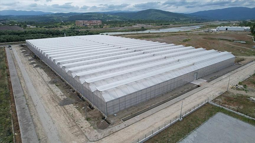 Çaycuma Sera Organize Tarım Bölgesi’nin Hedefleri ve Gelişmeleri