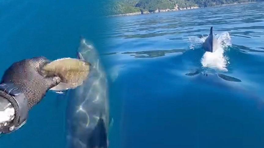 Denizlerde Yaşanan İlginç Anlar ve Doğa Dostu Kurtarma Faaliyetleri