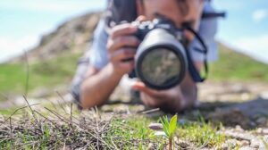 Diyarbakır’da Keşfedilen Yeni Ters Lale Türü ve Doğa Tutkunu Muhammed Yalçın’ın Hikayesi