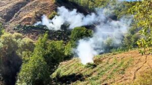 Diyarbakır’da Uyuşturucu Operasyonu ve Ele Geçirilen Miktarlar