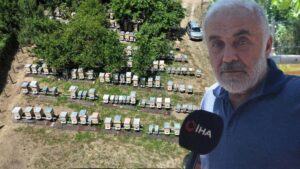 Erfelek’te Arıcılık Tutkusu: Karakaş’ın Bal Üretimi Serüveni