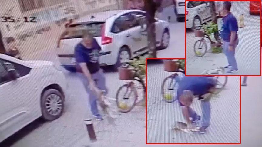 Eskişehir’de Köpek Şiddeti Olayı ve Gelişmeleri