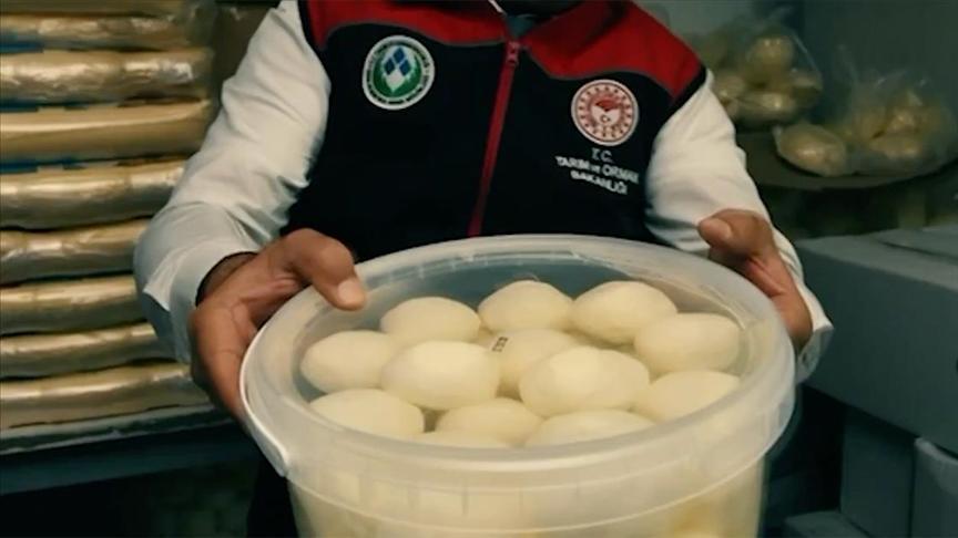 Gıda Güvenliği ve Denetimler: Ankara’da Sağlık ve Güvenilirlik Önceliğimiz