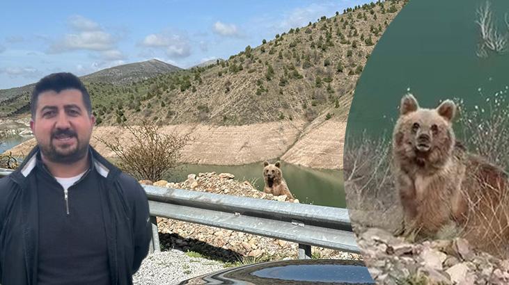 Hafik’te Ayı ile Karşılaşma Anları ve Olayın Detayları