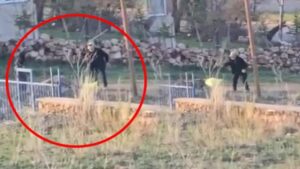 Hayvana Şiddet Olayına Tepki ve Toplumsal Sorumluluk Çağrısı