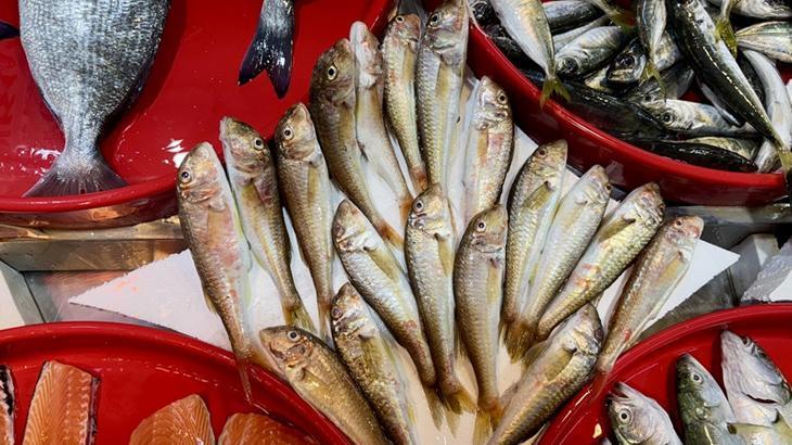 İzmir Balık Hali’nde Yaz Sezonunun Bol Balık Çeşitleri ve Fiyatlar