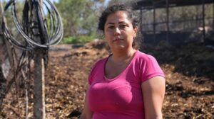 İzmir’de Orman Yangını: Ağıllar ve Hayvanlar Zarar Gördü