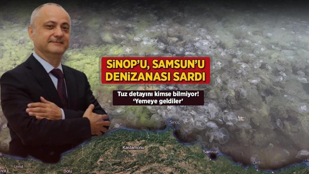 Karadeniz’de 2023 ve Sonrası Denizanası Artışlarının Anatomisi