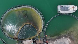 Kayseri’de Su Ürünleri Yatırımları ve Balıkçılık Faaliyetleri