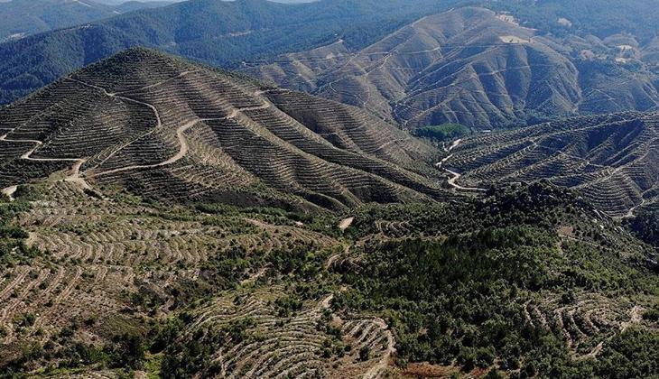 Kütahya’da Kuraklık ve Orman Yangını Önlemleri