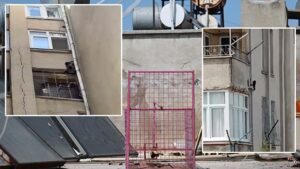 Mersin’de Siteye Giren Maymun Panik Yarattı