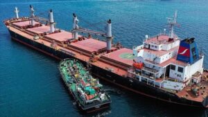 Rusya-Ukrayna Savaşı ve Enerji, Tarım ile Ulaşım Sektörlerine Etkileri