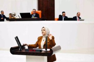 Sema Silkin Ün’den 2024 Bütçesi Üzerine Çarpıcı Eleştiriler ve Emekli Hakları Vurgusu