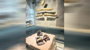 Seray Şahinler ve Zeyrek Çinili Hamam: Tarih ve Sanatın Buluşması