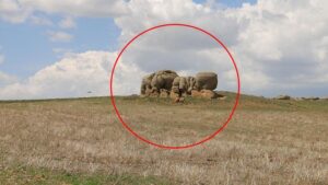 Sivas Altınyayla’daki Gizemli Kayalar ve Doğa Harikası Figürler