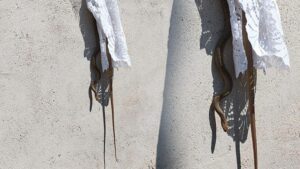 Sungurlu’da Yılan Olayı: Hızlı Müdahale ve Doğal Yaşam Alanına Bırakıldı