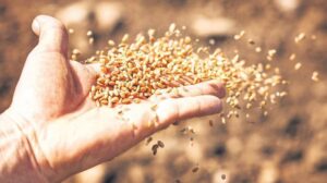 Tarım ve Tohumculuk Sektöründe Son Gelişmeler ve Uluslararası İşbirlikleri