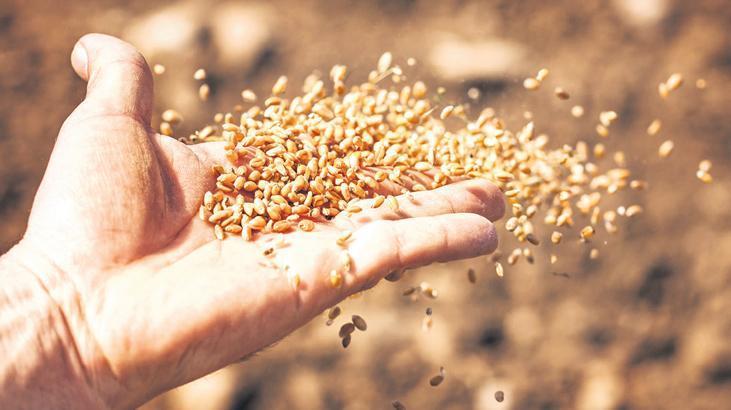 Tarım ve Tohumculuk Sektöründe Son Gelişmeler ve Uluslararası İşbirlikleri