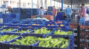 Tarımsal ve Ticari Reformlar: Yeni Düzenlemelerin Detayları