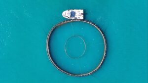 Türk Somonu Yetiştiriciliğinde Yeni Dönem ve Ekonomik Katkılar