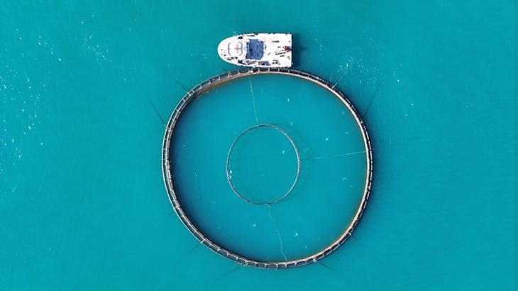 Türk Somonu Yetiştiriciliğinde Yeni Dönem ve Ekonomik Katkılar