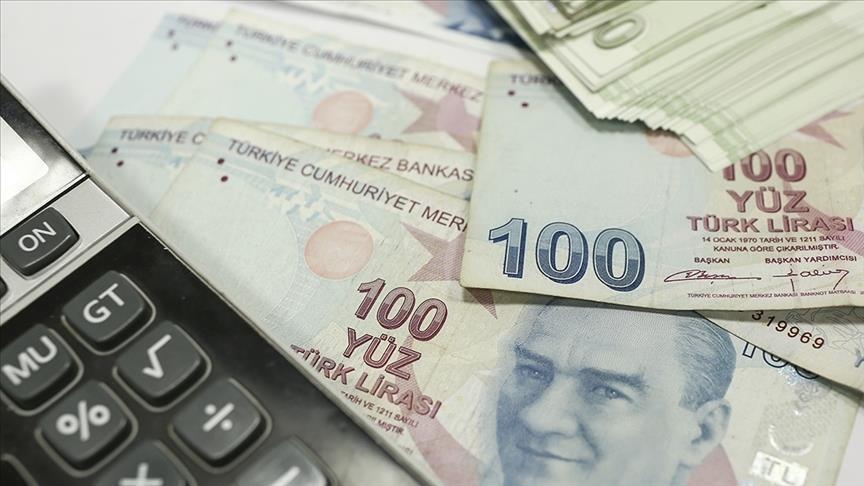 Türkiye Merkez Bankası Haziran 2025 Finansal Hizmetler Güven Endeksi ve İstatistikleri