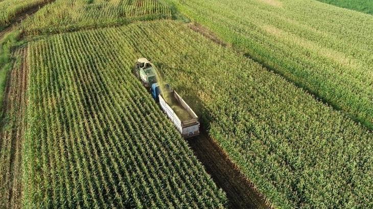 Türkiye Tarım ve Gıda Sayımı Çalışmaları ve Detayları
